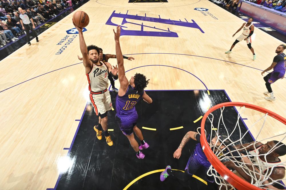 裁判报告不 裁判报告不