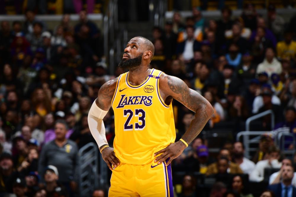 一条巨型的 一条巨型的